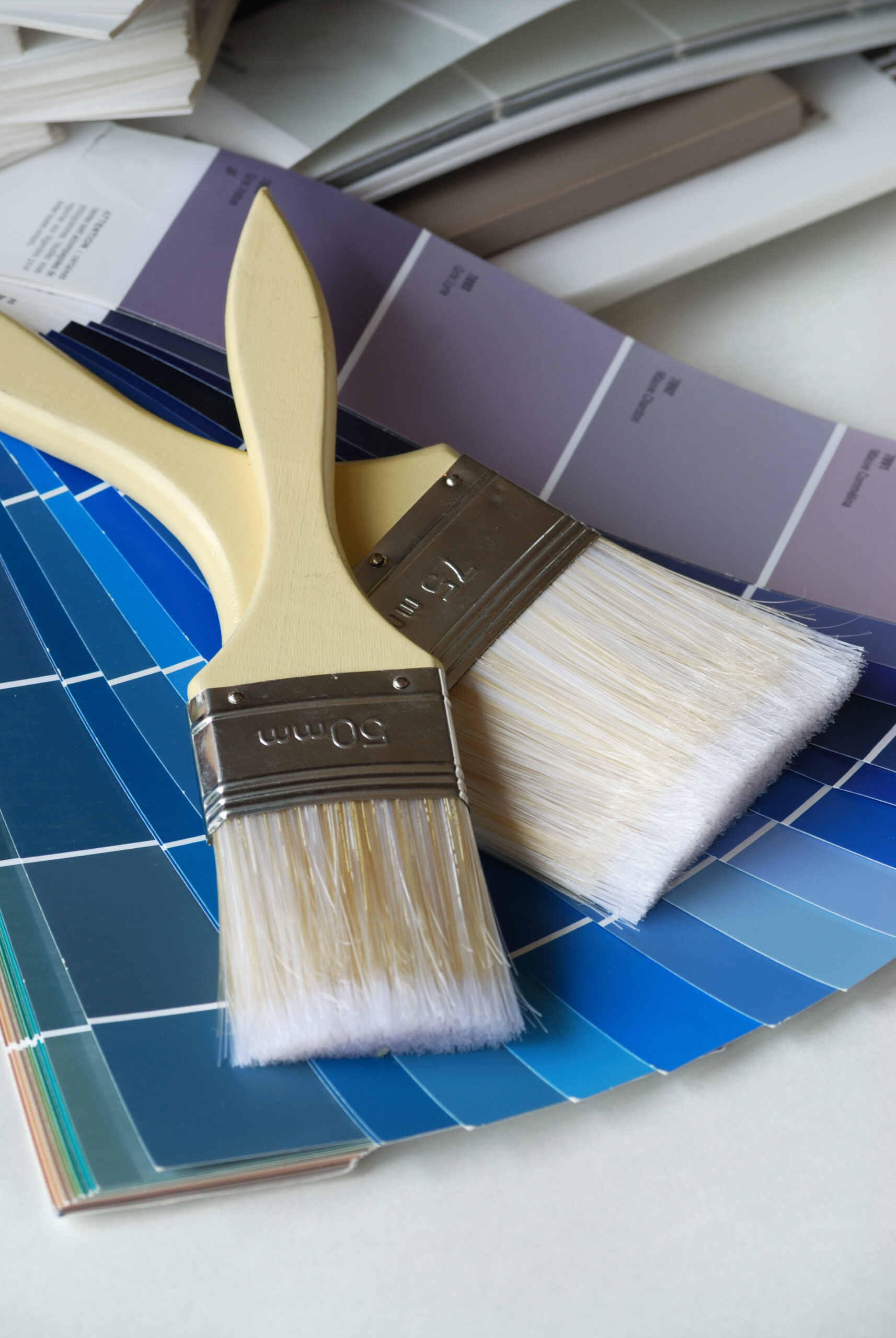 Deux pinceaux de 50mm et 75mm posés sur des nuanciers de couleurs. Les cartes affichent des teintes de bleu et de violet, dont le "Mauve Camellia".