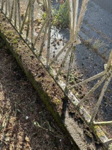 Clôture métallique rouillée et moussue avec aiguilles de pin, sur un socle en béton. Entourée de terre et d'une allée goudronnée.