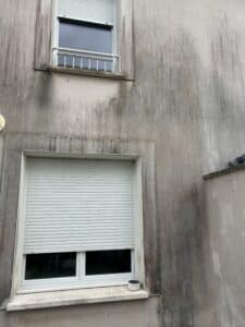 Façade grise de bâtiment, très sale, avec coulures noires d'humidité. Deux fenêtres à volets roulants blancs; une ouverte (balustrade), l'autre fermée (pot).