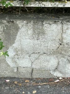 Mur de béton gris texturé et fissuré, avec des feuilles vertes et de la mousse au-dessus et des débris végétaux au sol.